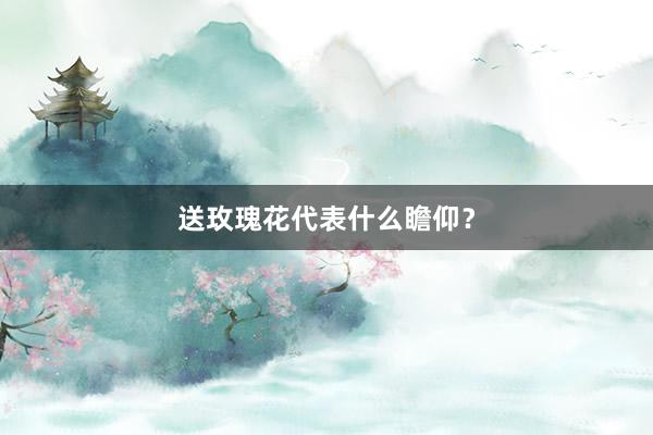 送玫瑰花代表什么瞻仰？